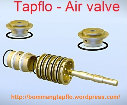 Bơm màng Tapflo - Giải pháp cho bơm màng ARO và chi phí phụ tùng bơm ARO (màng, bi, o-ring ...)